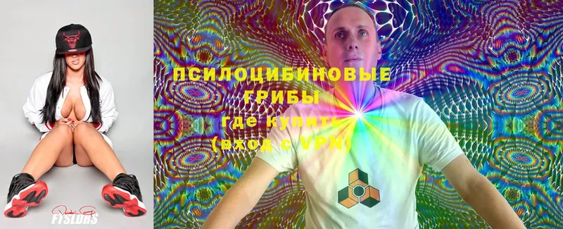 Псилоцибиновые грибы Magic Shrooms  где купить наркоту  Владимир 